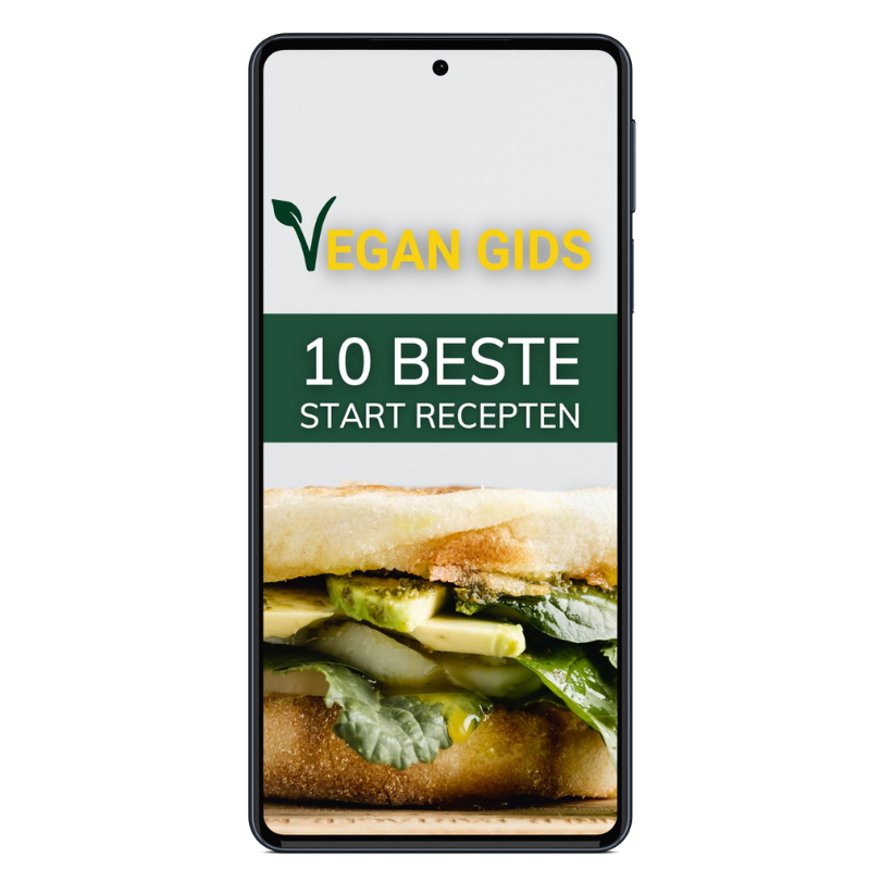 mobile mock up of vegan book